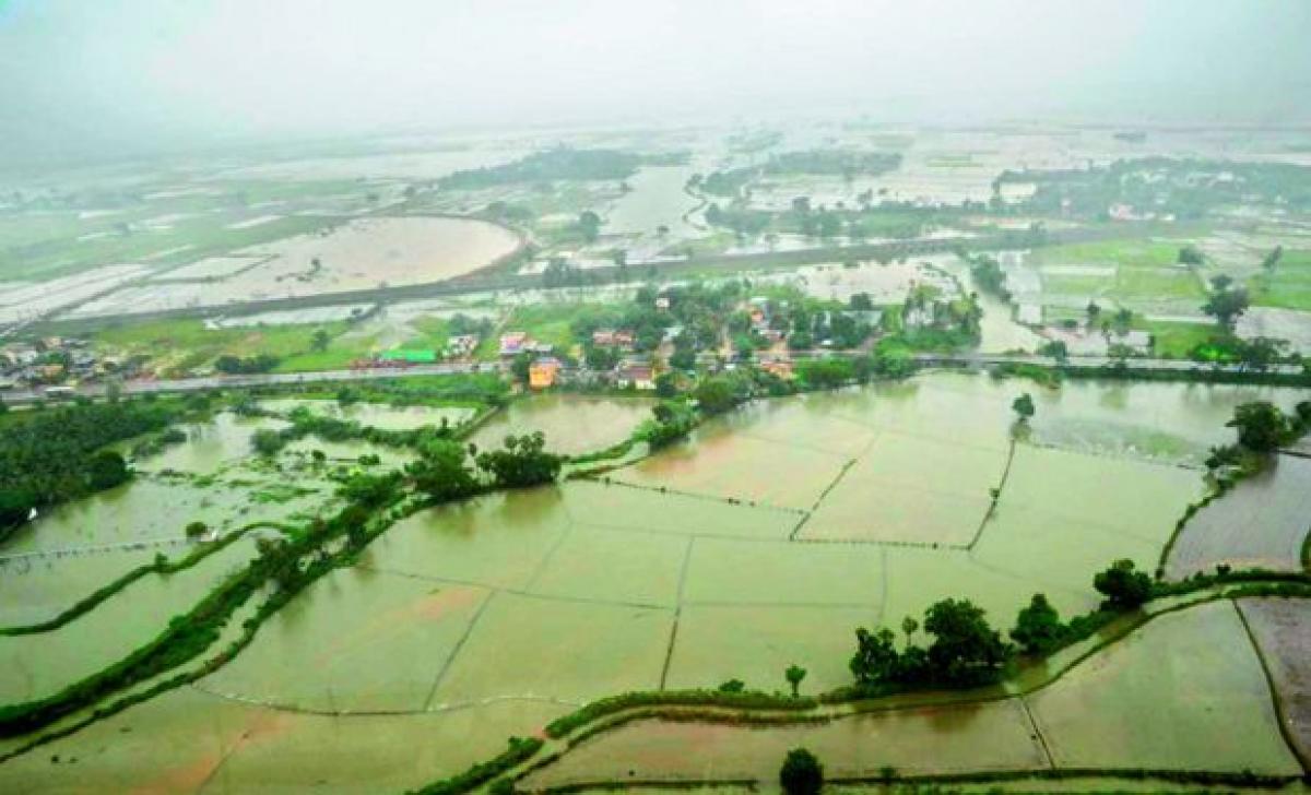 Kadapa faces crop loss due to incessant rains